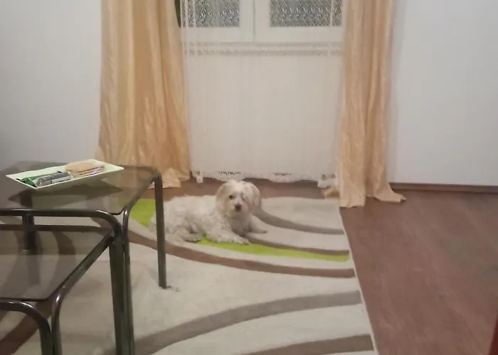 Toby Apartment Split